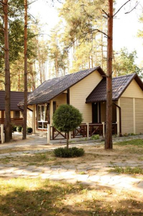 Комплекс На Дачі, Vyshpil'